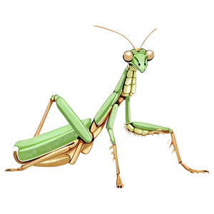 Animated Praying Mantis Png Sll PNG image