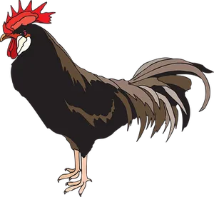 Animated Rooster Profile