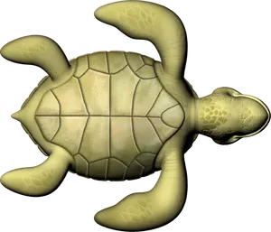 Animated Sea Turtle Graphic PNG image