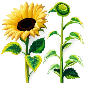 Animated Sunflower Gif PNG 18