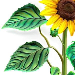 Animated Sunflower Transparent PNG Uhj