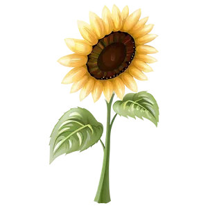 Animated Sunflower Transparent PNG Umx85 PNG