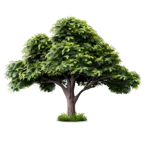 Animated Tree Elevation PNG Bru93 PNG