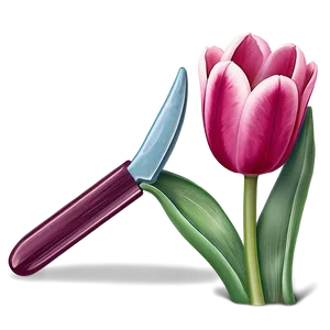 Animated Tulip Png Vhv PNG image
