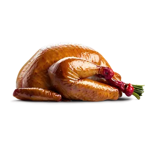 Animated Turkey PNG Yir63 PNG