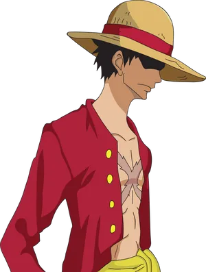 Anime Character Straw Hat Red Shirt PNG