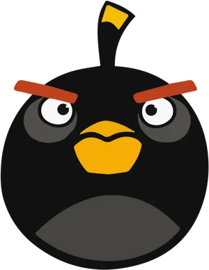 Annoyed Black Bird Cartoon Character PNG image