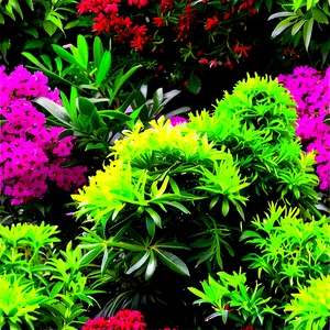 Annual Shrubs PNG 06122024