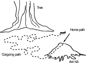 Ant Navigation Tree Ant Hill PNG image