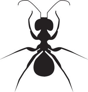 Ant_ Silhouette_ Vector_ Graphic PNG image