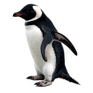Antarctic Penguin PNG 05062024