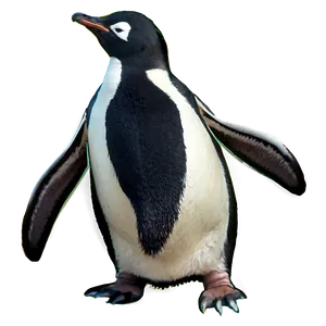 Antarctic Penguin PNG Mcf21