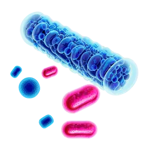 Antibiotic Resistant Bacteria PNG 59 PNG