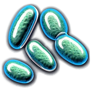 Antibiotic Resistant Bacteria Png Hgf PNG image