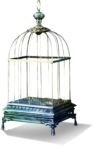 Antique Birdcage Design PNG