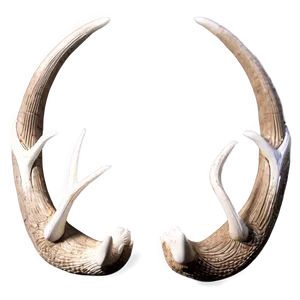 Antique Deer Antler Carving PNG 06122024 PNG