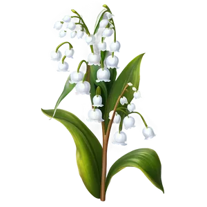 Antique Style Lily-of-the-valley PNG Hgf PNG