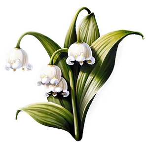 Antique Style Lily-of-the-valley Png Ocp89 PNG image