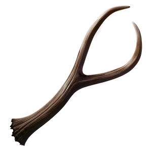 Antler Illustration Png 10 PNG image