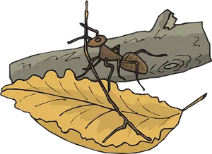 Anton Yellow Leaf Illustration