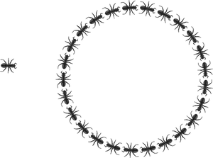 Ants_ Forming_ Circle_on_ Black_ Background PNG image
