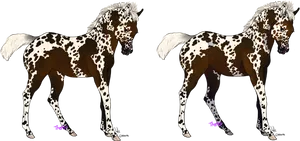 Appaloosa Foal Twin Illustration PNG image