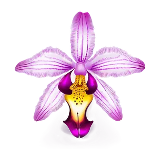 Appealing Orchid Illustration PNG 06202024 PNG