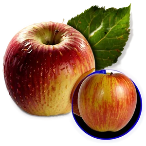 Apple Cider PNG Nmp