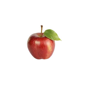 Apple Fruit B PNG