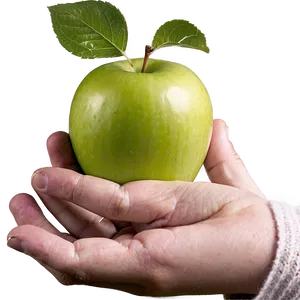 Apple In Hand PNG 54 PNG