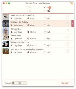 Apple Music Converter Software Screenshot