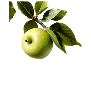 Apple On Tree PNG Fll PNG