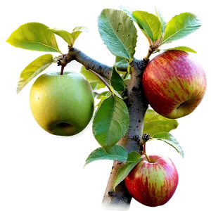 Apple On Tree PNG Mnu PNG