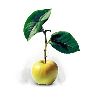 Apple Sprout PNG Gns