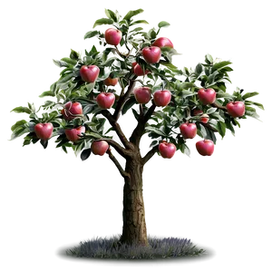 Apple Tree Png Bwa PNG image