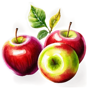 Apple Watercolor PNG 06132024