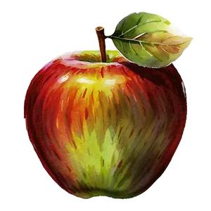 Apple Watercolor PNG 52