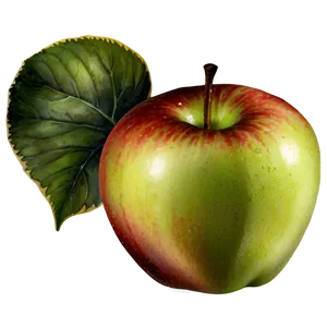 Apple Watercolor PNG 65