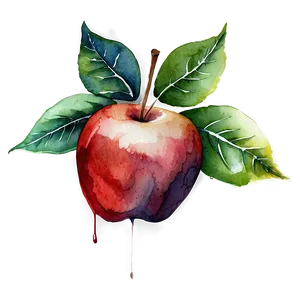 Apple Watercolor PNG Fln33