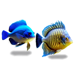 Aquarium Fish Varieties Png 80 PNG image