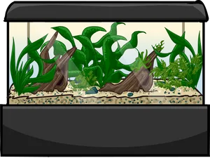 Aquarium Plantsand Driftwood Setup.png PNG