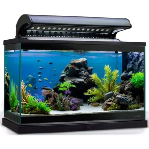 Aquarium Setup Png 61 PNG image