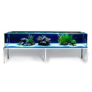 Aquarium Setup PNG 78 PNG