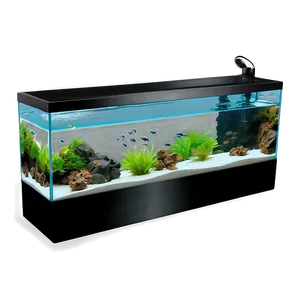Aquarium Setup PNG Onc40 PNG
