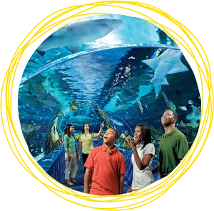 Aquarium Visit Underwater Adventure PNG image