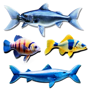 Aquatic Food Chain Example Png 05242024 PNG image