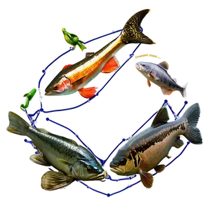 Aquatic Food Chain Example Png 7 PNG image