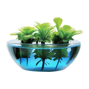 Aquatic Indoor Plants Png Cof PNG image