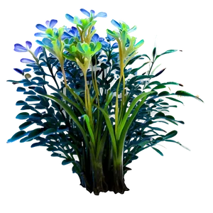 Aquatic Plant PNG 94