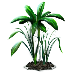 Aquatic Plant PNG Faq91